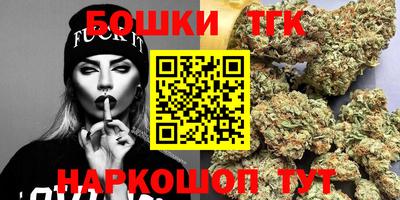 индика Ливны