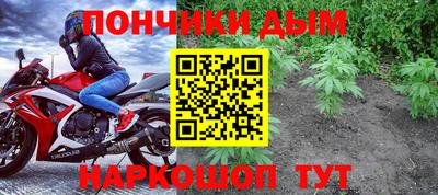 индика Ливны
