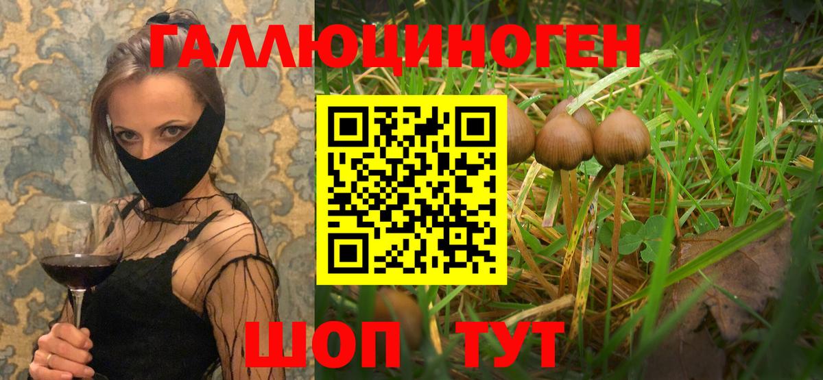 Златоуст  сколько стоит  Вход с VPN  Псилоцибиновые грибы мицелий 