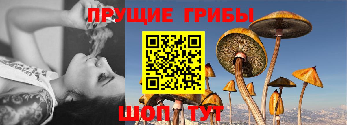 Псилоцибиновые грибы мицелий Златоуст